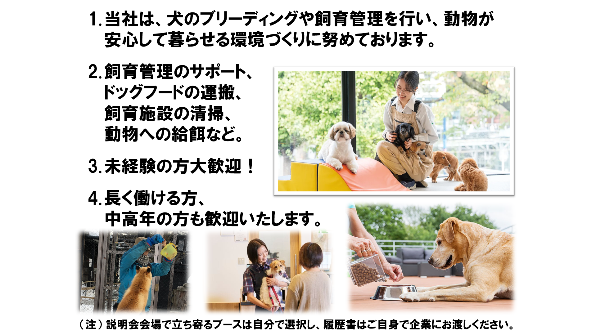 仕事、バイト、正社員